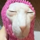 TikTok_PINK